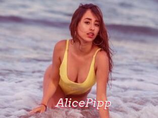 AlicePipp