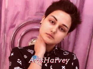 AvisHarvey