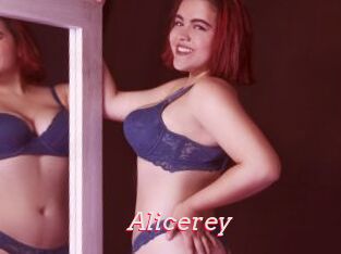 Alicerey
