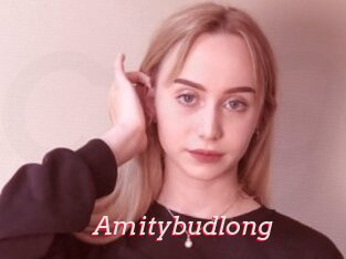 Amitybudlong