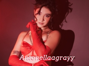 Antonellaagrayy