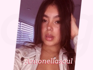 Antonellasoul