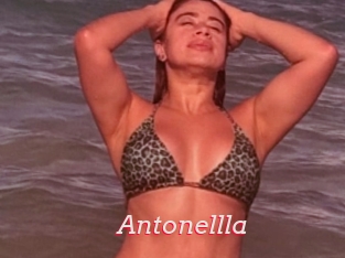 Antonellla