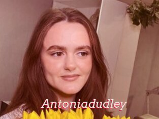 Antoniadudley