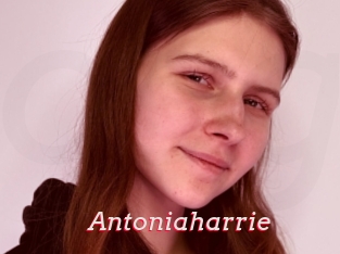 Antoniaharrie