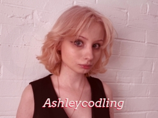 Ashleycodling