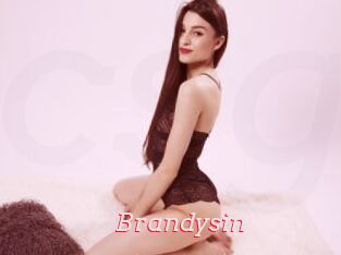 Brandysin