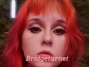Bridgetarnet