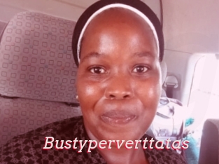 Bustyperverttatas