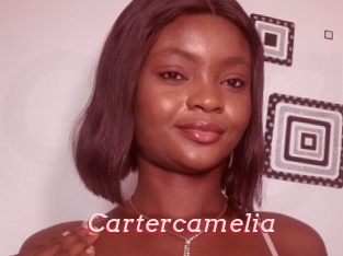 Cartercamelia