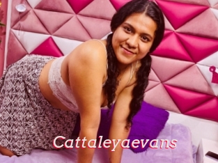Cattaleyaevans