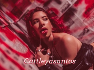 Cattleyasantos