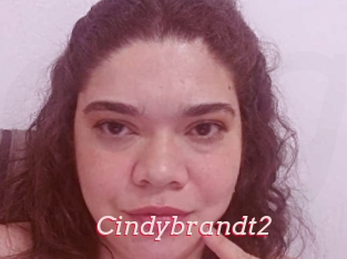 Cindybrandt2