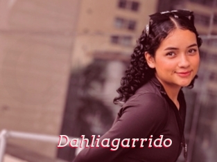 Dahliagarrido