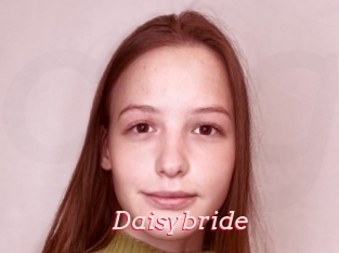 Daisybride