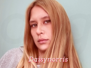 Daisynorris