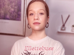 Ellettebuss