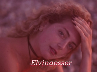 Elvinaesser