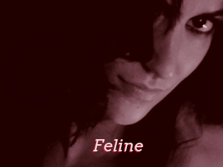 Feline