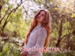FlexibleKatrin