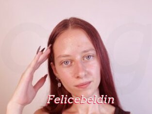 Felicebeldin