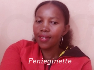 Fenieginette