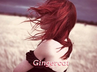 Gingercat