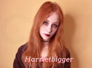 Harrietbigger