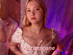 Karinacane