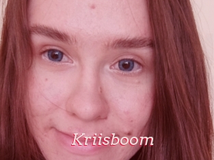 Kriisboom