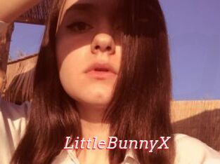 LittleBunnyX