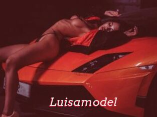 Luisamodel