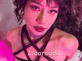 Liaaroadd
