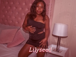Lilyseed