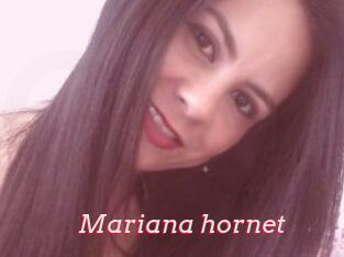 Mariana_hornet