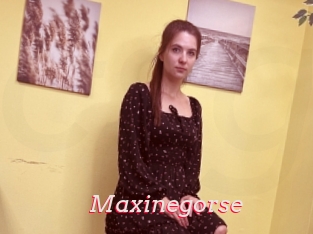 Maxinegorse
