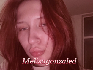 Melisagonzaled