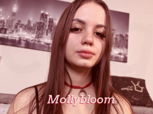 Mollybloom