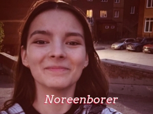 Noreenborer