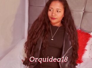Orquidea18