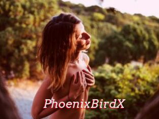 PhoenixBirdX