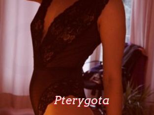 Pterygota