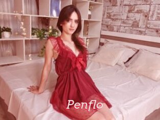 Penflo