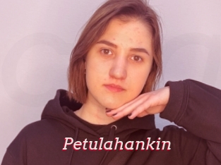 Petulahankin