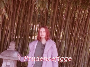 Prudencefigge