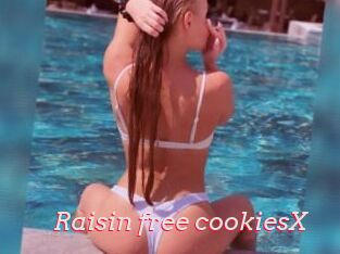 Raisin_free_cookiesX