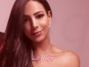 Rice