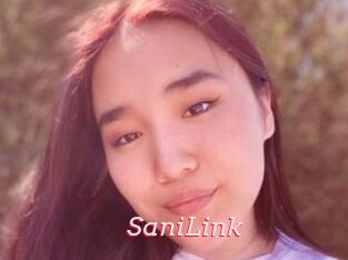 SaniLink