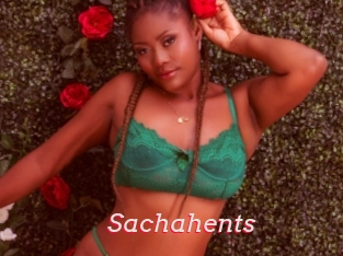 Sachahents