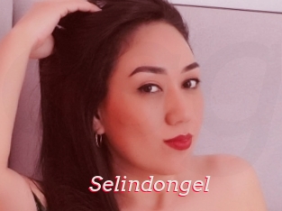 Selindongel
